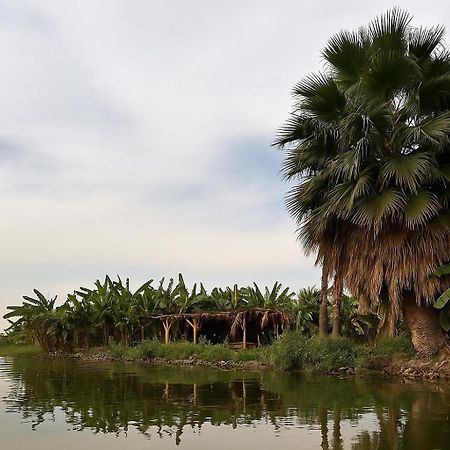 Il Campo Boutique Ecolodge El Hawamdeya Zewnętrze zdjęcie