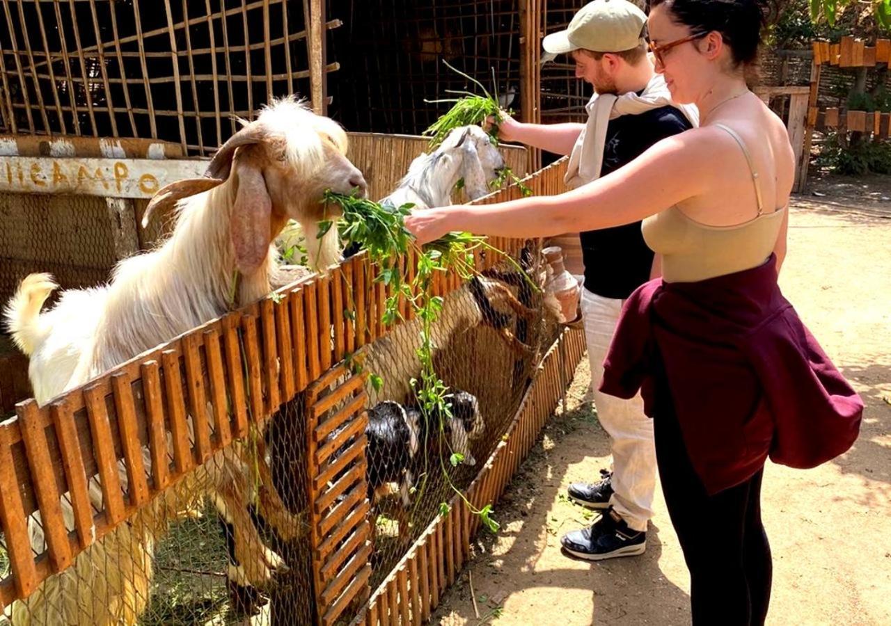 Il Campo Boutique Ecolodge El Hawamdeya Zewnętrze zdjęcie